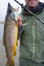 ØRRET Mojo Flutter spoon - Nicholes Lures  thumbnail