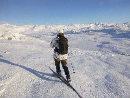 Kurs eller foredrag