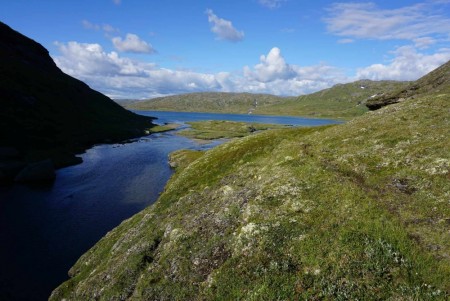 Organiserte turer og kurs