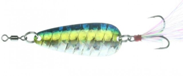 Bombshell shad